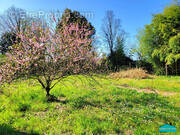 Terrain à MACHECOUL