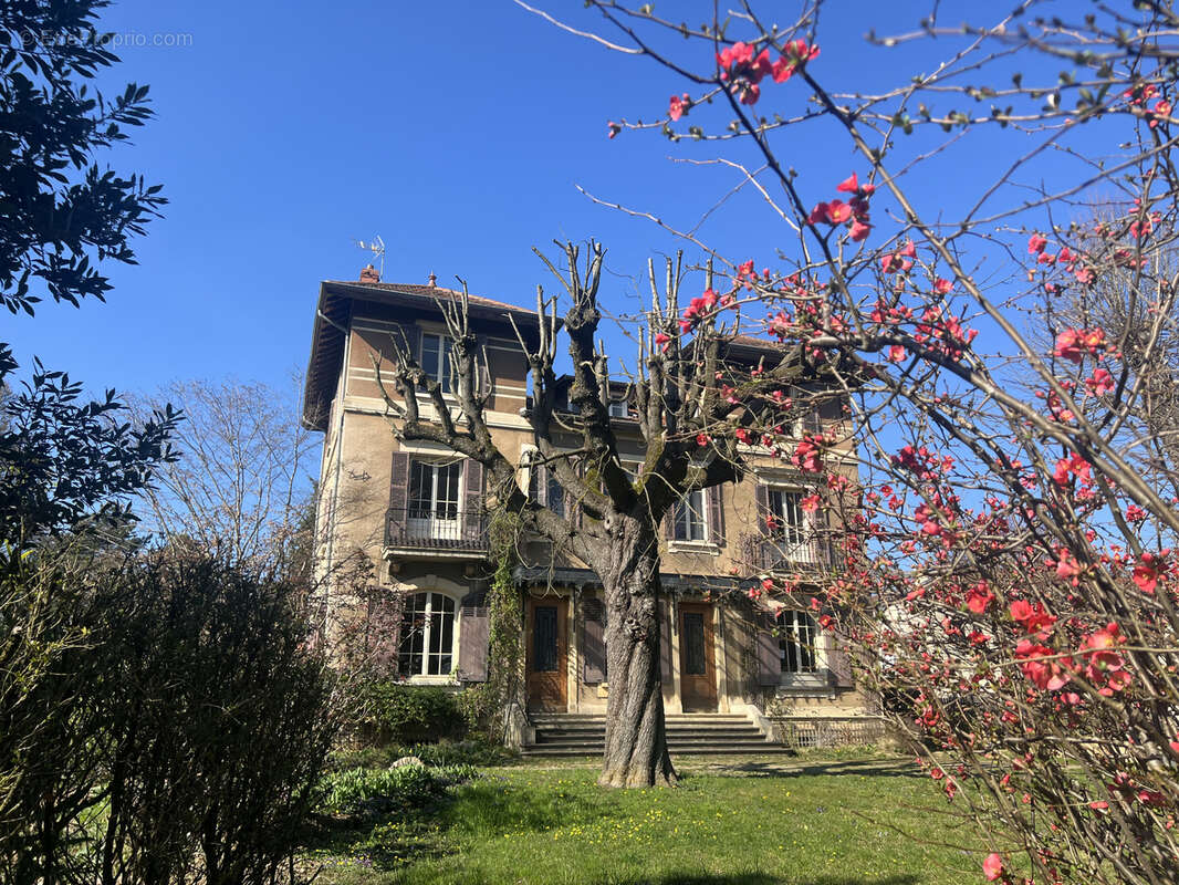 Maison à ECULLY
