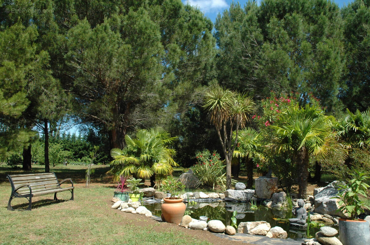 belle propriété face aux albères sur parcelle 11500 m2 - photo 2