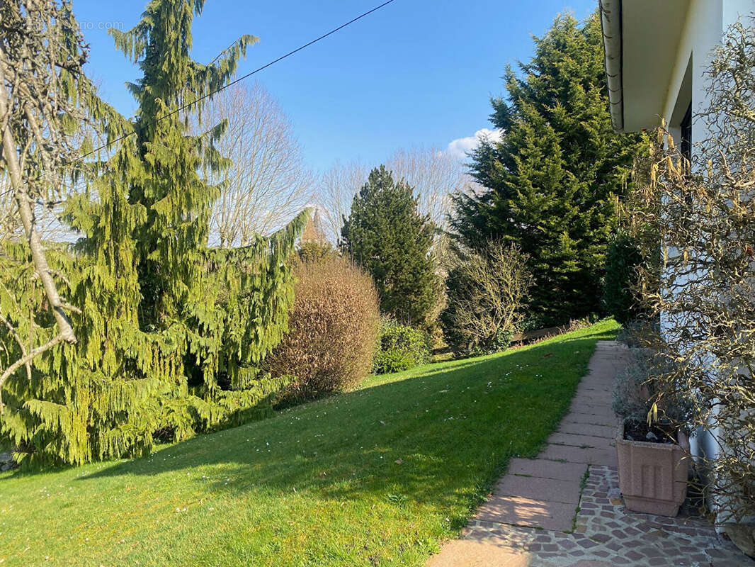 Maison à WISSEMBOURG