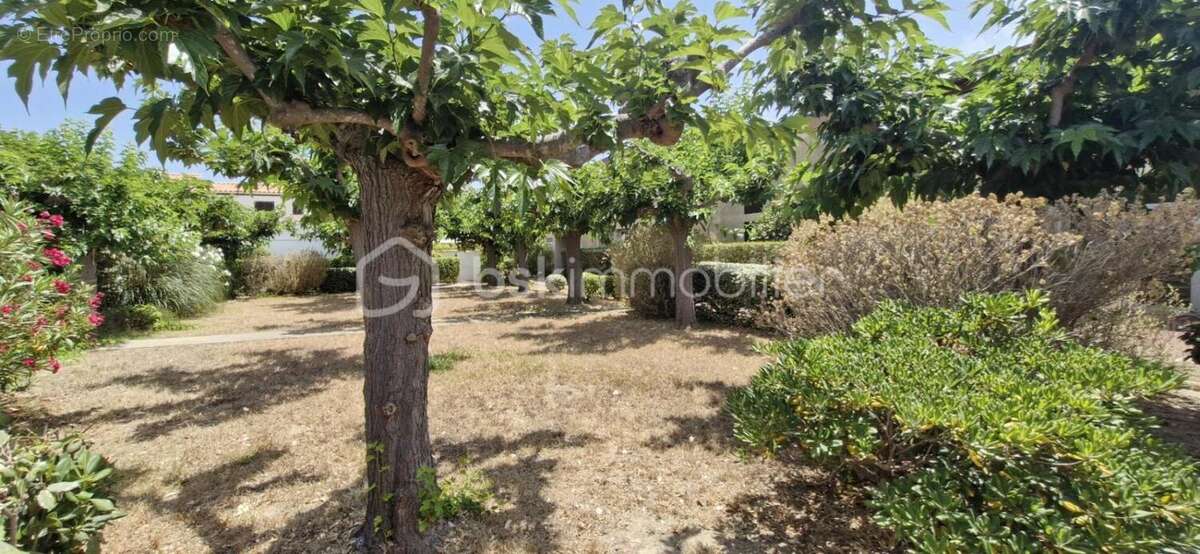 Appartement à LEUCATE