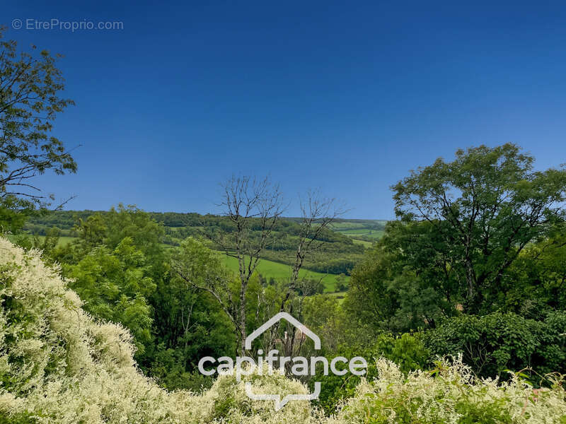 Maison à MONT-SAINT-JEAN
