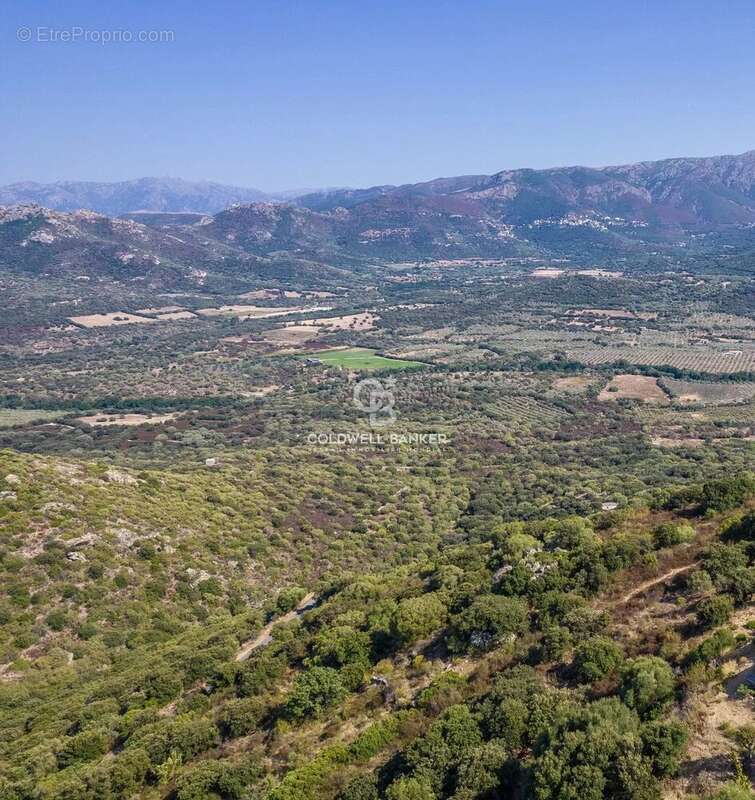 Terrain à MONTICELLO