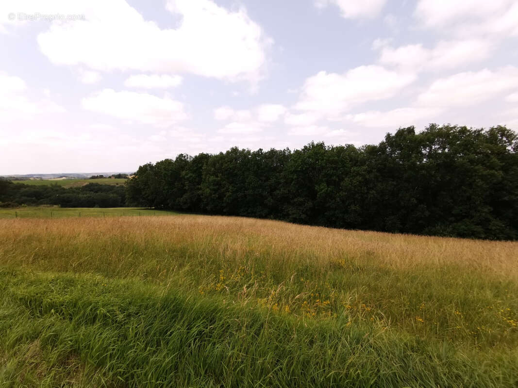 Terrain à ORDAN-LARROQUE