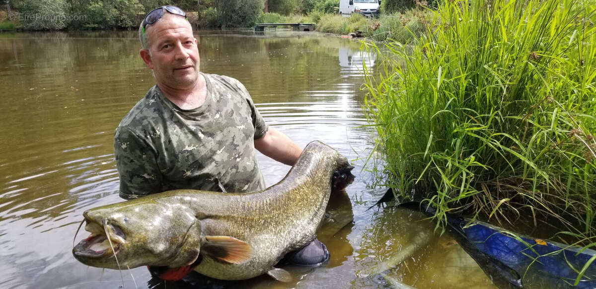 Terrain à COMPREIGNAC