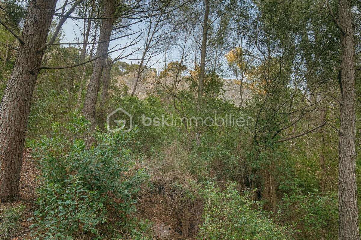 Terrain à LA CADIERE-D&#039;AZUR