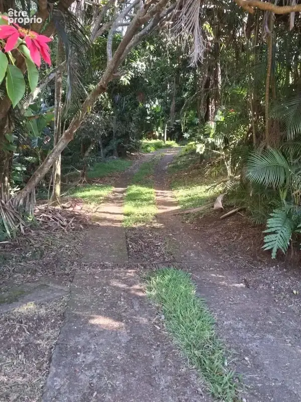 Propriété - 8 pièces - terrain de 4800 m² - photo 13
