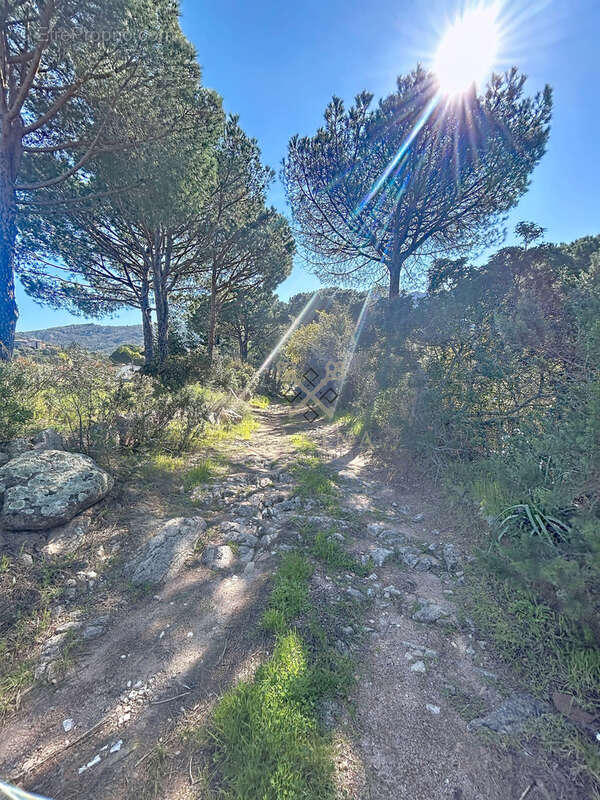 Appartement à PORTO-VECCHIO