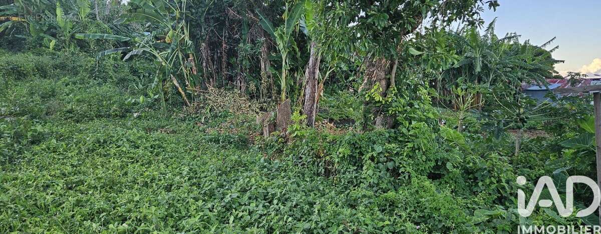 Photo 2 - Terrain à SAINT-DENIS