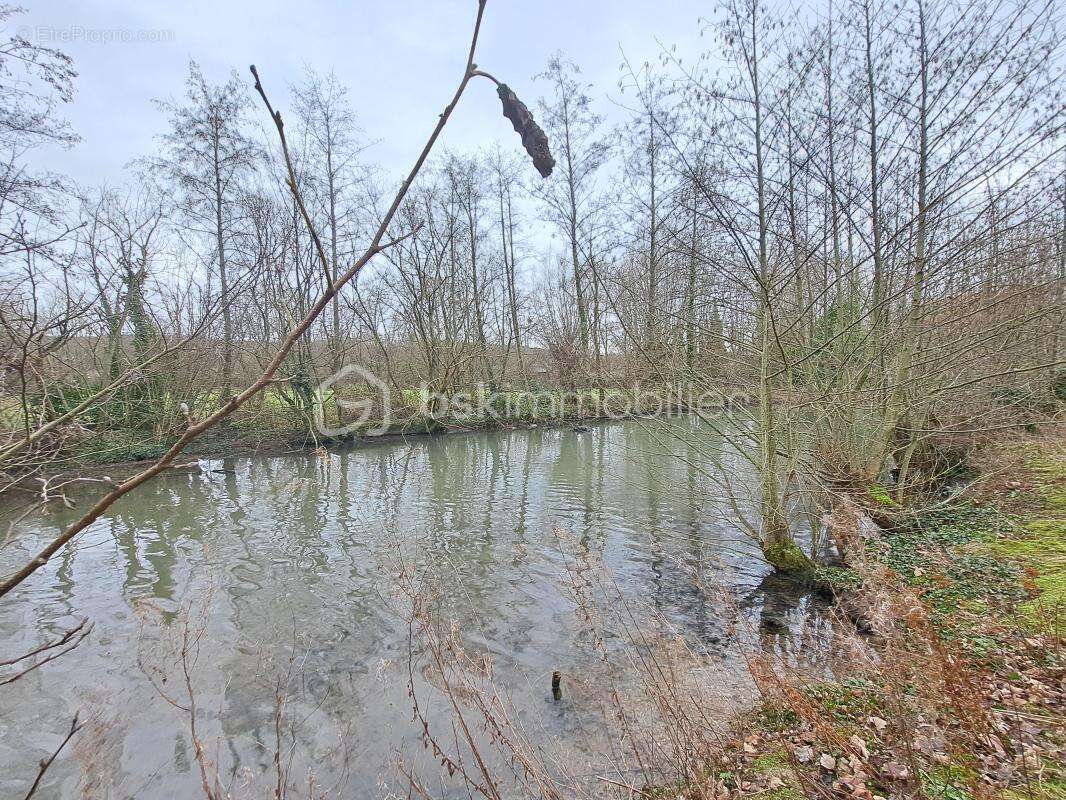 Ensemble immobilier a 20 minutes du treport et de la mer /35 minutes de la baie de somme, moins de 10 minutes d’un bourg tous co - photo 25