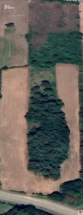 Terrain Agricole de plus de 2 hectares / SIGOULES-ET-FLAUGEAC - photo 3
