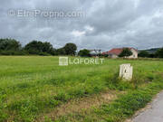 Terrain à DOGNEVILLE