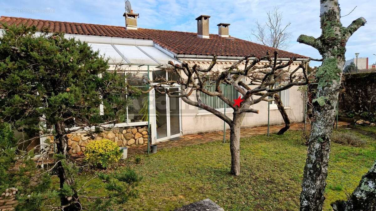 Castres - maison centre-ville - photo 7