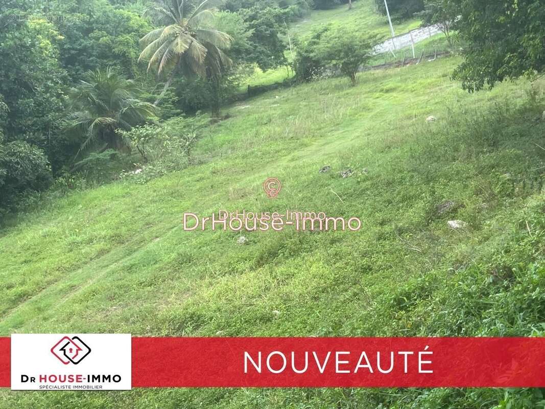 Terrain à LE GOSIER