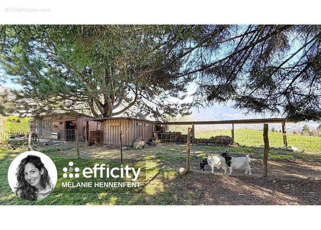 Appartement à MONT-SAXONNEX