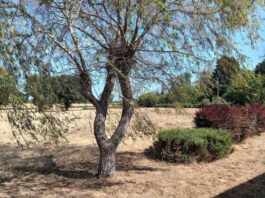 Maison sur 1.3 hectare sans voisins ! - photo 13