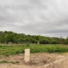 Terrain à SOIGNOLLES-EN-BRIE