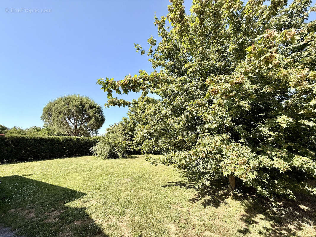 Photo 3 - Terrain à FONTENAY-LE-COMTE