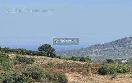 Appartement à OLMETA-DI-TUDA