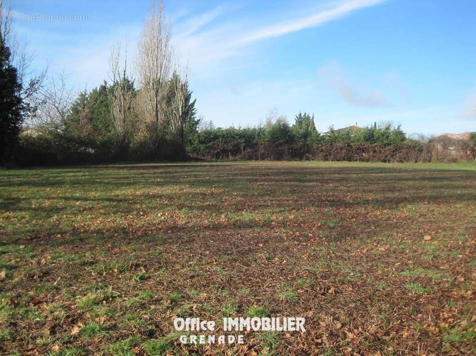 Terrain à LE BURGAUD