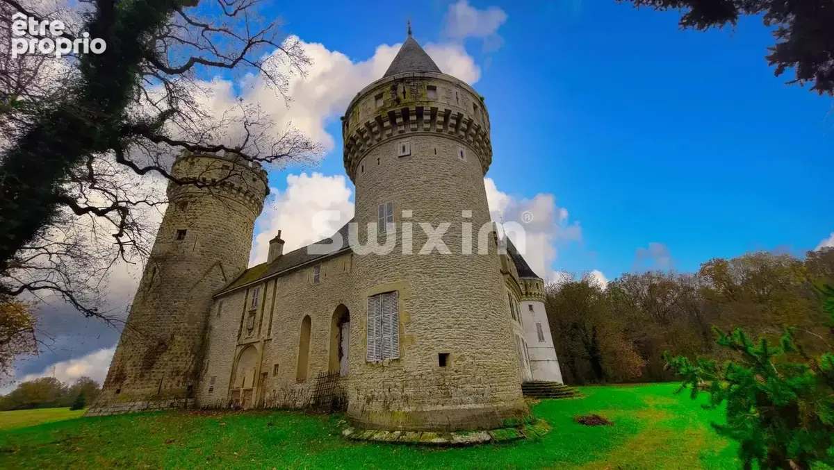 Magnifique Château XIIè-XIVè siècle dans le Berry - photo 2
