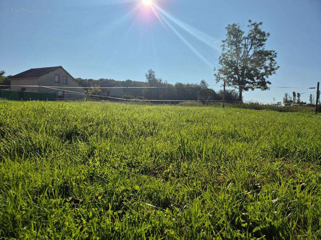 Terrain à LALIZOLLE
