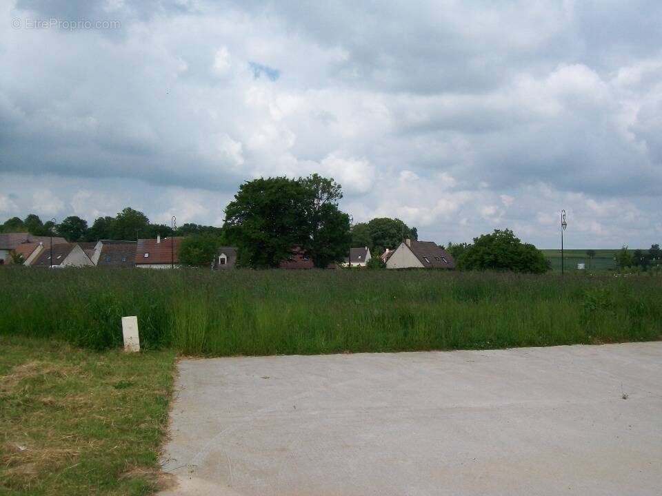 Terrain à SAVIGNIES