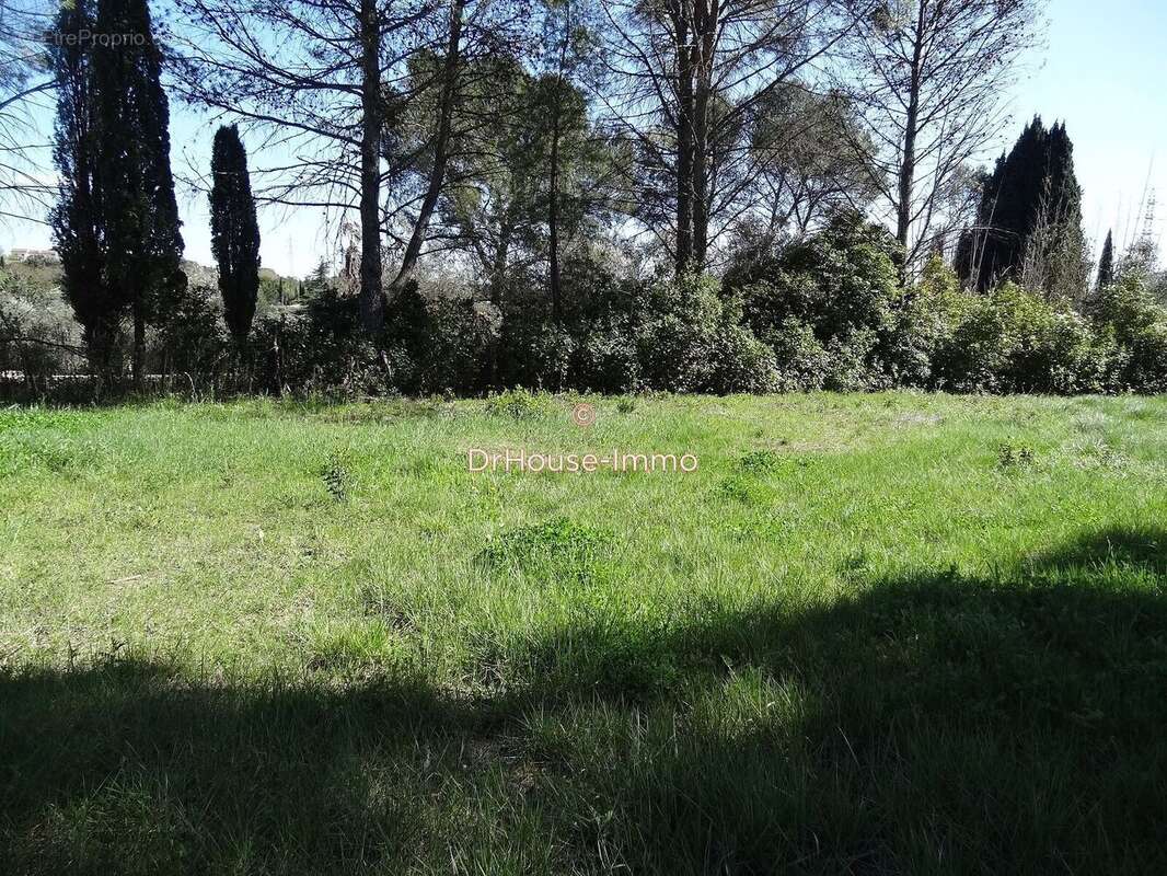 Terrain à BOISSET-ET-GAUJAC