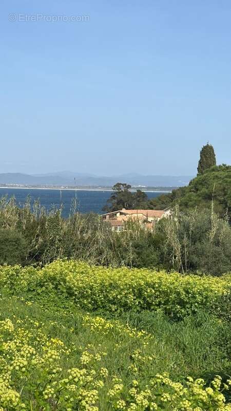 Terrain à HYERES