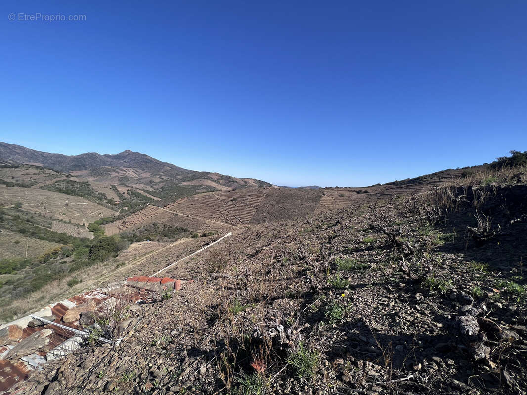 Terrain à BANYULS-SUR-MER