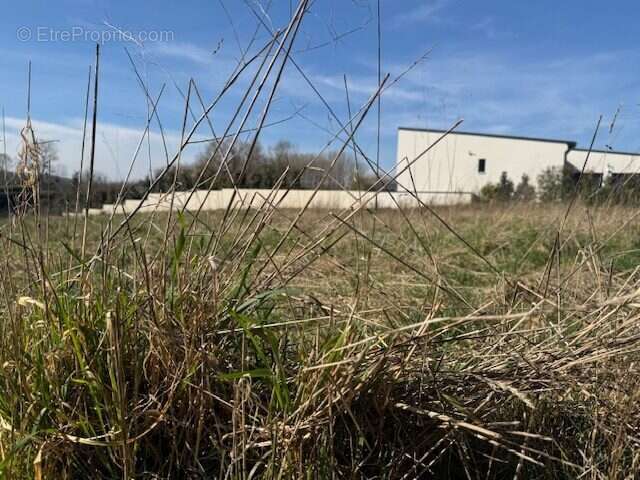 Terrain à SEPTMONTS