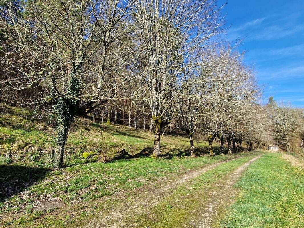 20260224101419 - Maison à CAMPAGNE