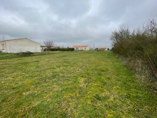 Terrain à ARCES