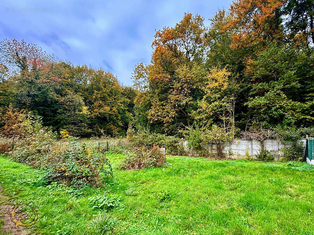 Maison à VILLERS-COTTERETS