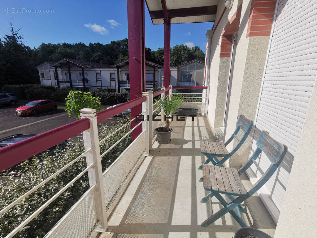 Appartement à SAINT-PIERRE-DU-MONT