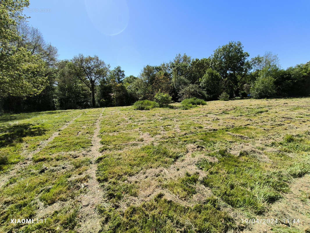 Terrain à POLASTRON