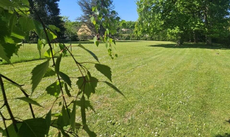 Terrain à MONTIGNY-LES-CORMEILLES
