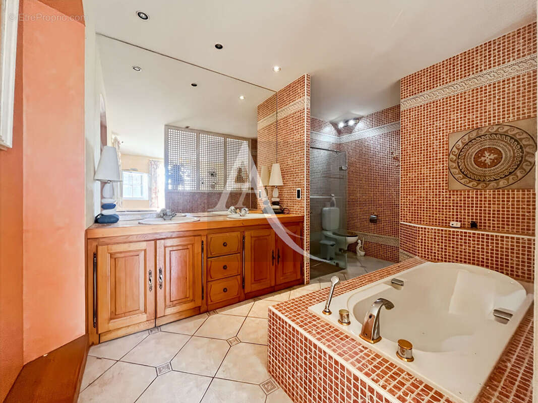 Maison à SAINT-AMANS-DU-PECH