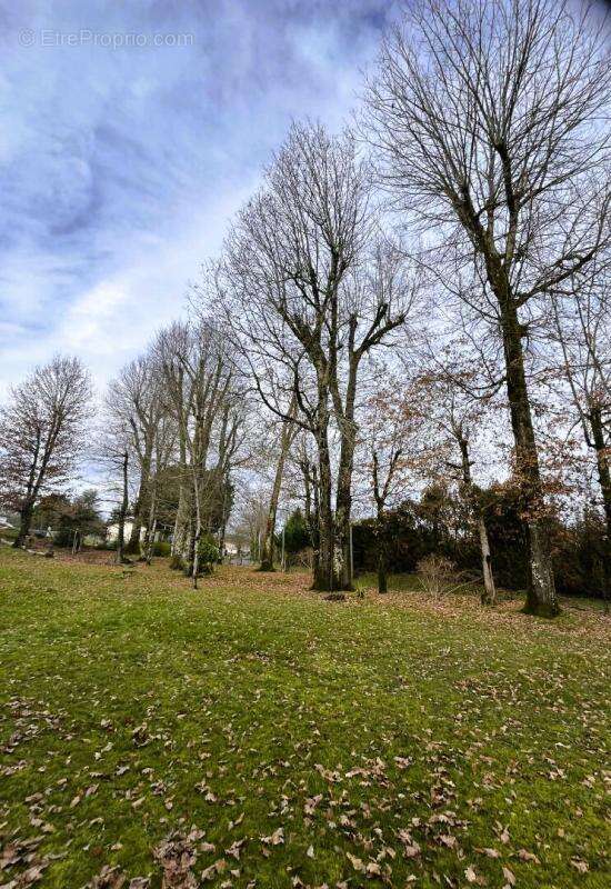 Maison à CHATEAU-L'EVEQUE