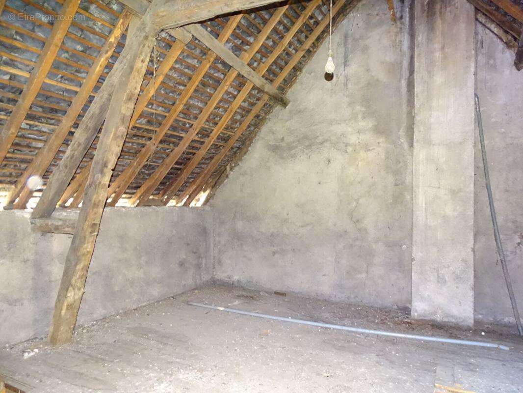 Immeuble Montignac Lascaux 4 pièce(s) 145 m2 - photo 4