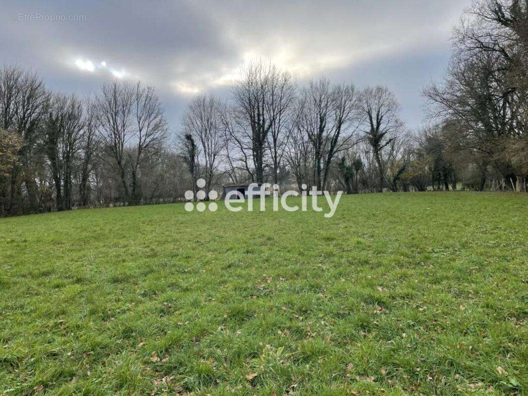 Maison à LA CHAPELLE-SOUEF