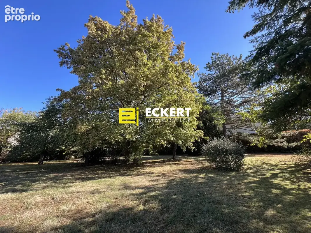 Terrain 900 m² à vendre à Boersch (67530) - photo 8