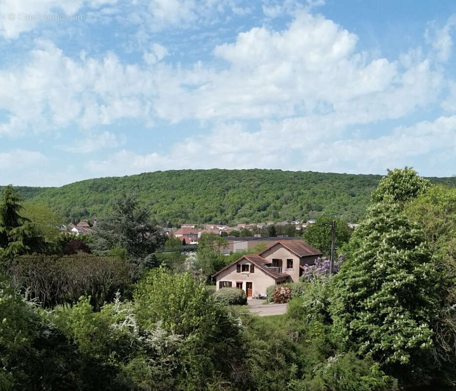 Maison à ARS-SUR-MOSELLE