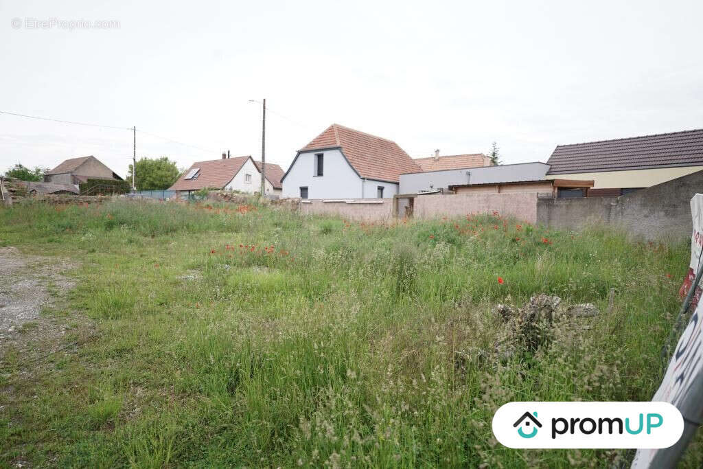 Terrain à HIRTZFELDEN