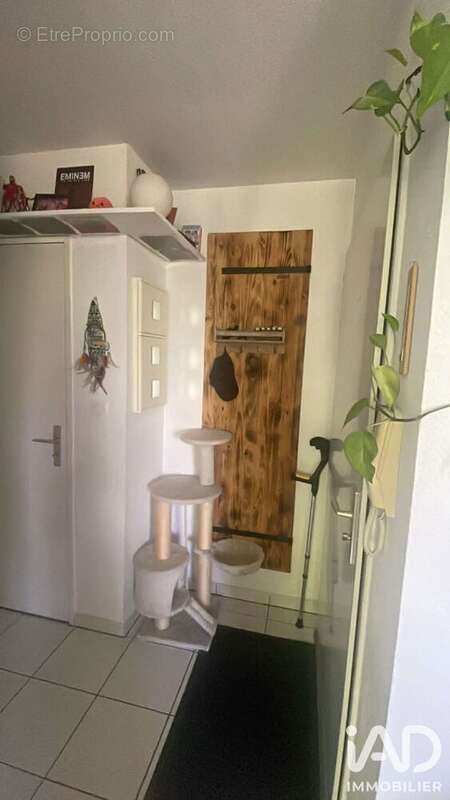 Photo 2 - Appartement à ALBI