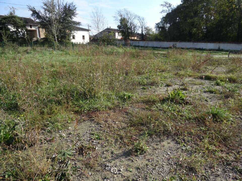 Terrain à GRISOLLES