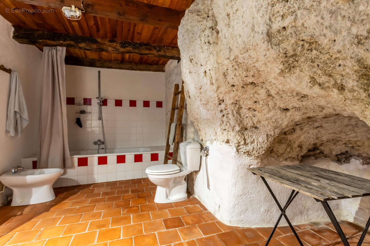 Maison de campagne avec annexe, piscine et dépendance - photo 40