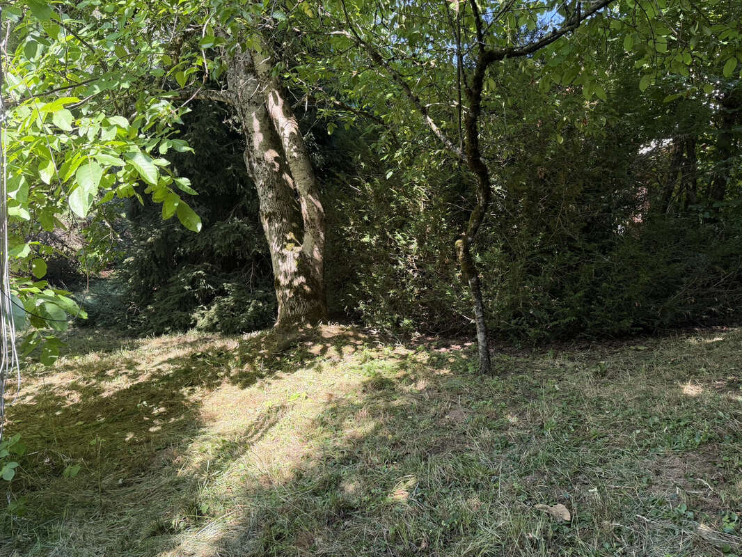 Maison en Pierre 4 Chambres avec Jardin - photo 4