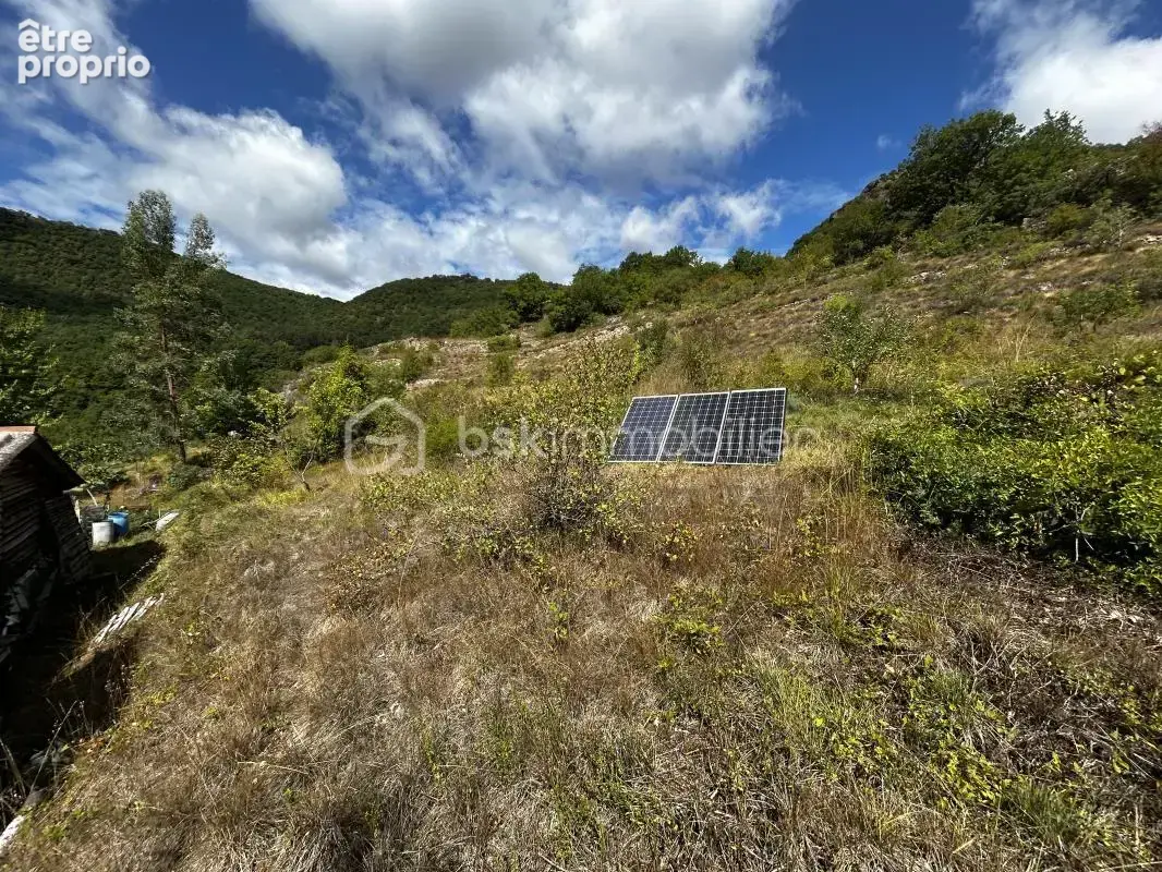 Maison en bois sur parcelle de 2,79 ha ! - photo 10