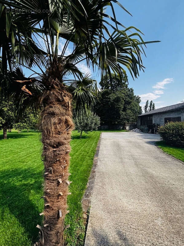 Maison rénovée avec piscine ? Proche Oloron - photo 5